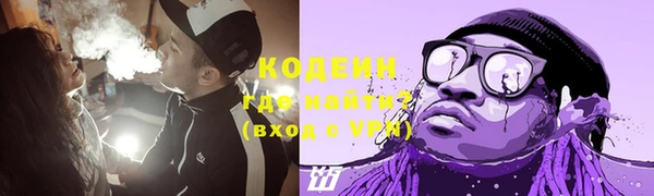 прущие грибы Карталы