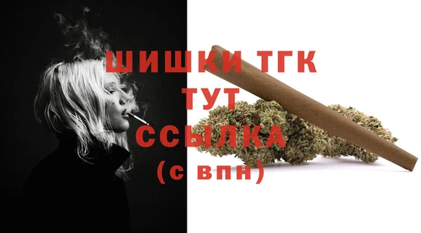 прущие грибы Карталы