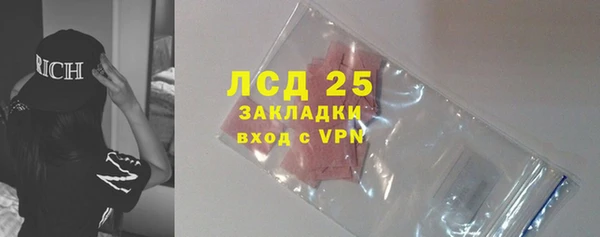 прущие грибы Карталы