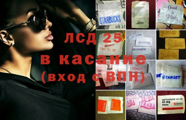прущие грибы Карталы