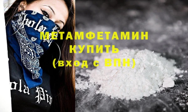 прущие грибы Карталы
