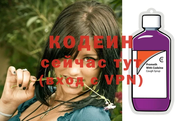 прущие грибы Карталы