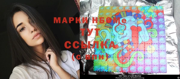 сатива Карпинск