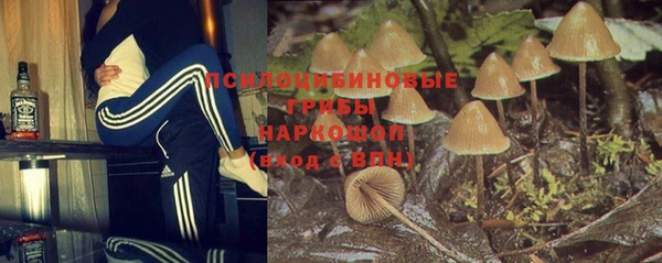 сатива Карпинск