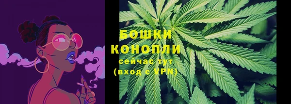 прущие грибы Карталы