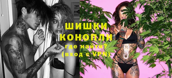 сатива Карпинск