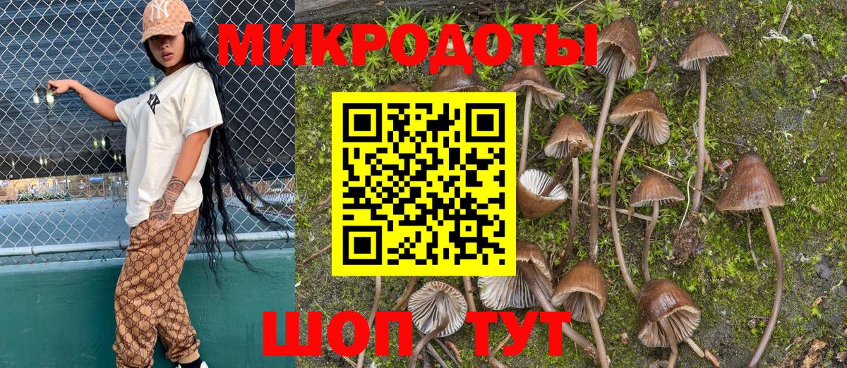 Псилоцибиновые грибы Psilocybe  купить наркотик  Галлюциногенные грибы Magic Shrooms  Чапаевск 