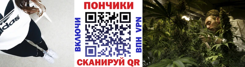 наркошоп  Чапаевск  Бошки марихуана Ganja 